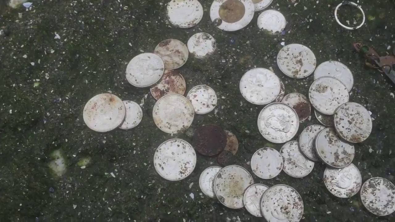 Metal Detecting Vancouver/South Surrey Beaches