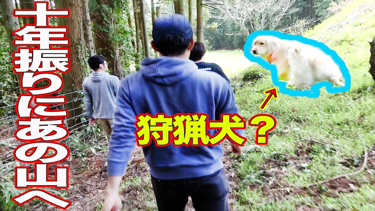 #1 山菜を採りに10年振りにあの山に潜入して見た結果！