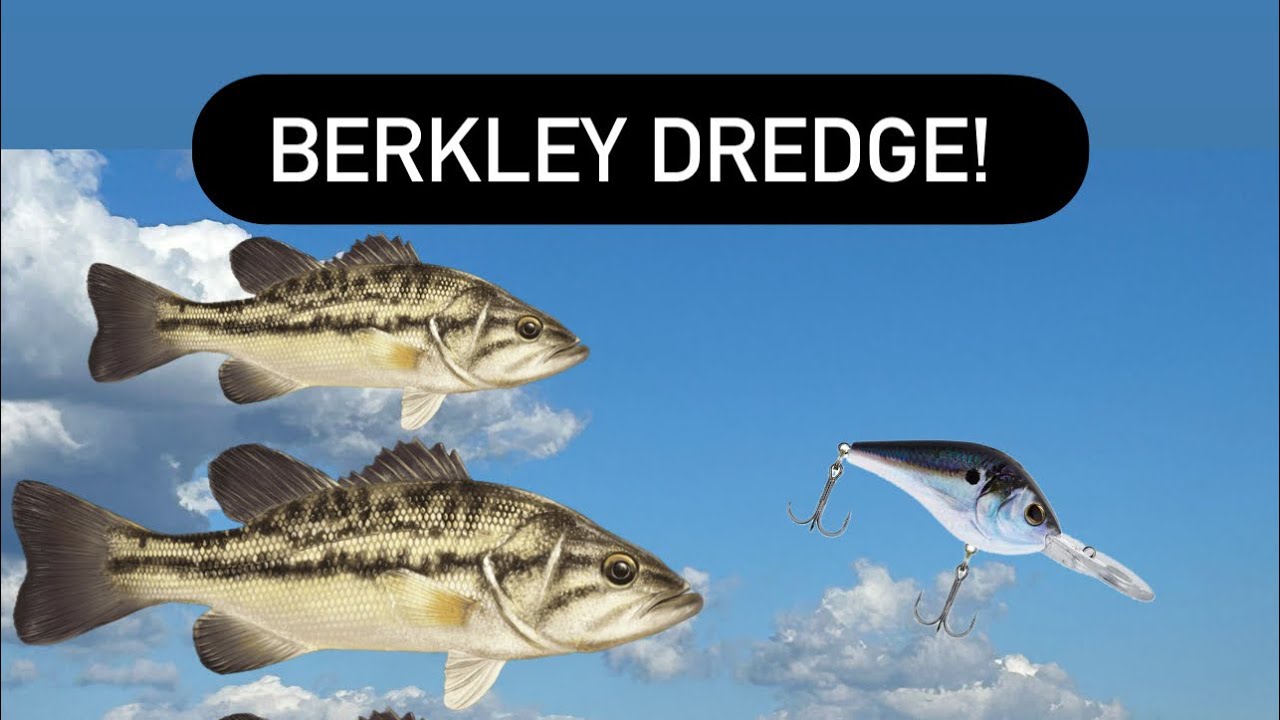 This bait catches fish!!  Aka the Berkley Dredger! 