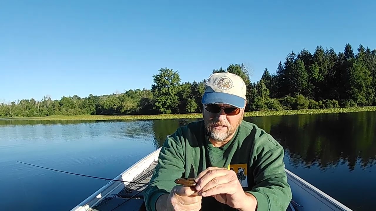 The Best Horny Toad Rig