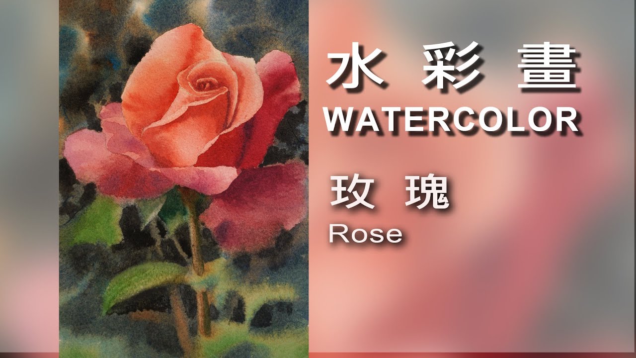 玫瑰 Rose / Watercolor / 水彩畫 #Watercolor#draw#art#painting#artist#水彩畫#素描#繪畫