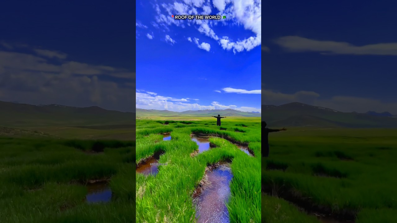 Roof of the world || Deosai National Park || Bara Pani | Sheosar Lake |Deosai Plain || Incredible K2