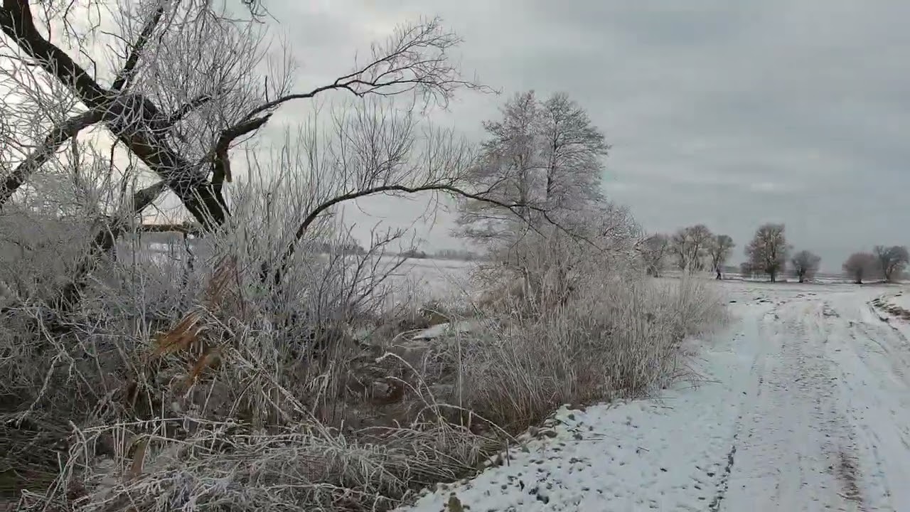 Opactwo Cystersów w Lądzie–Starorzeczne Kolano (początek: Lądek) 02