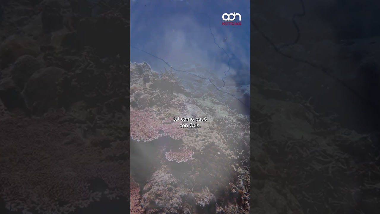 &iquest;Ni&ntilde;o Godzilla en el clima? As&iacute; afecta a nuestro planeta