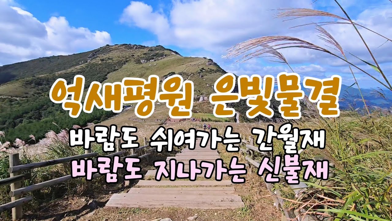 바람도 쉬어가는 곳 #전국 최대 억새평원 #영남알프스 억새평원 #간월재 #신불재