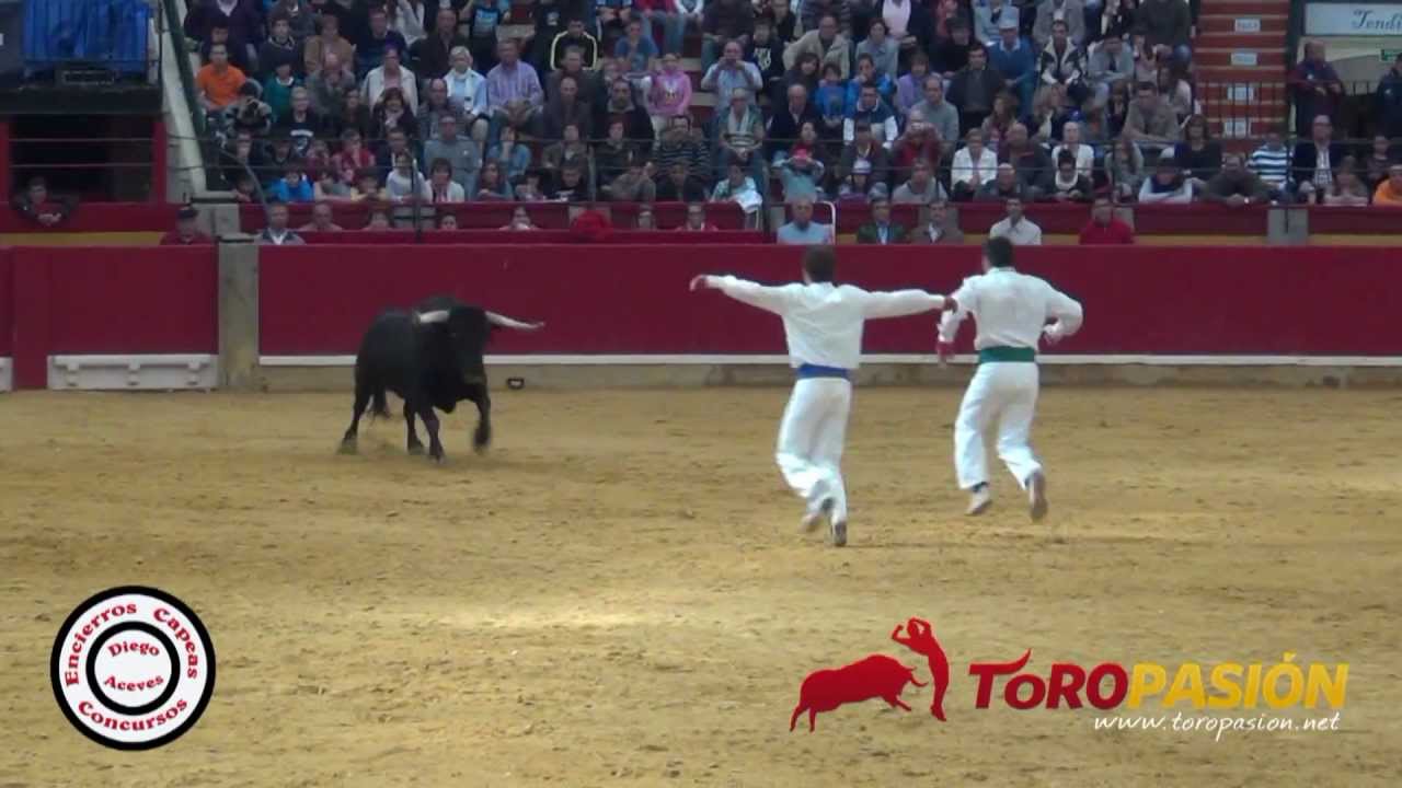 Retirada Nicolas Vergonzeanne - Zaragoza 2012