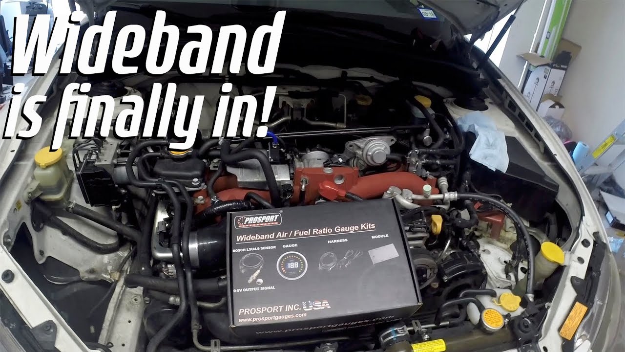Prosport Wideband Install