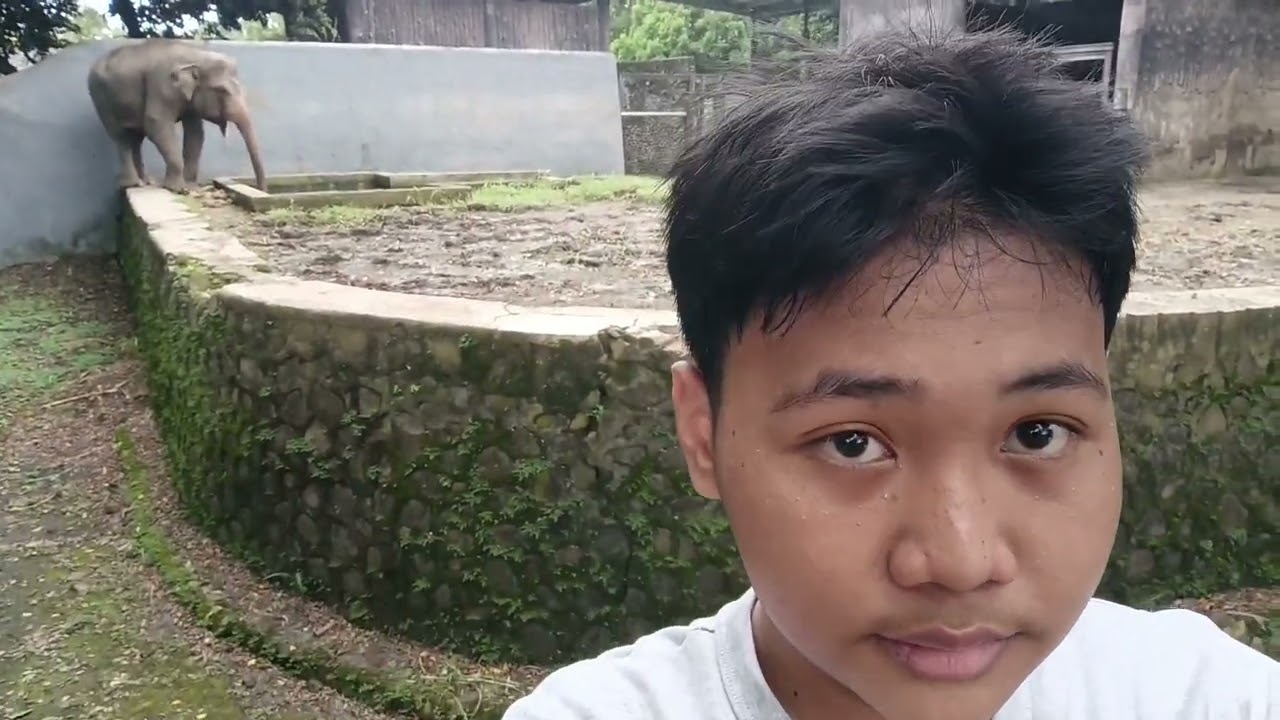 Pergi ke Ragunan Dan Melihat Hewan Hewan 🙀🙀😹