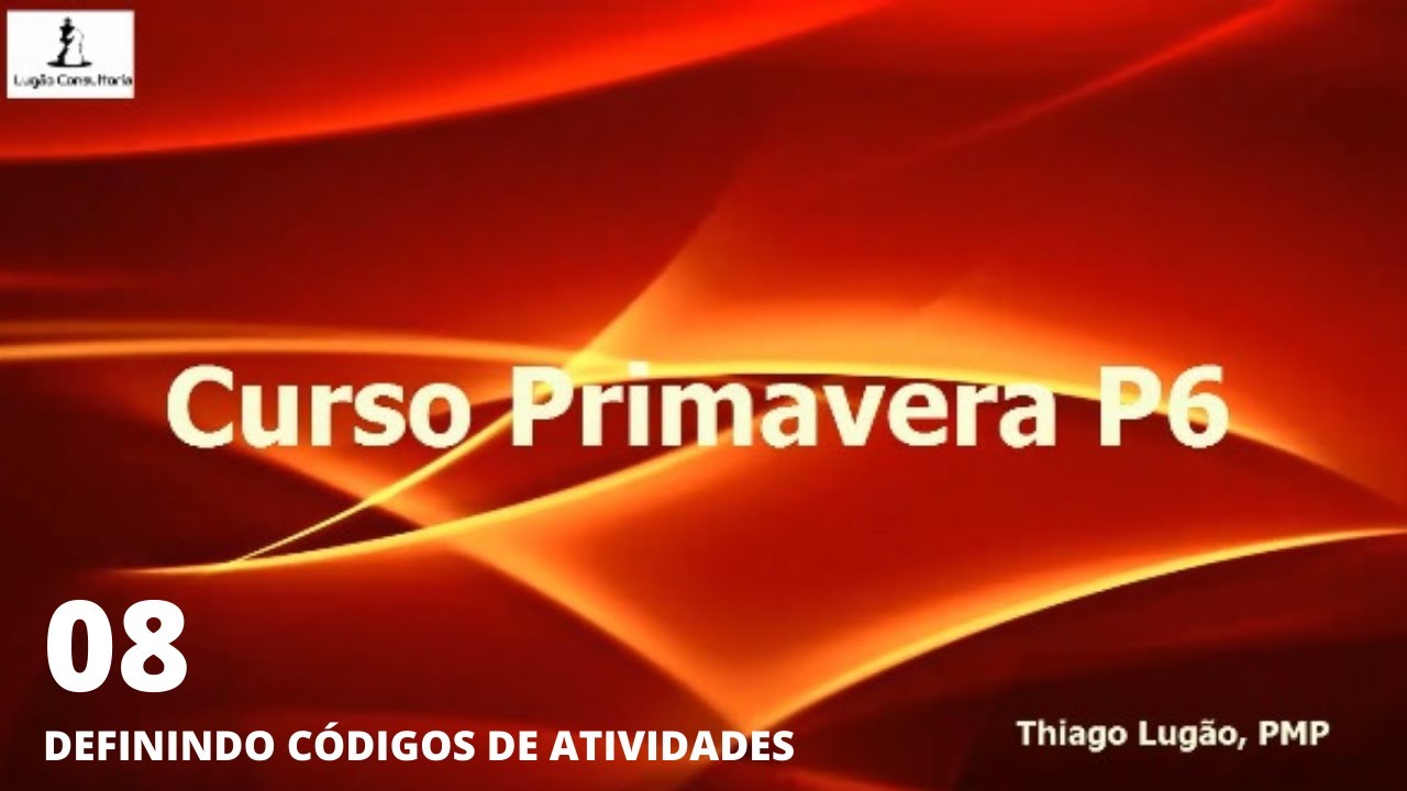 Aula 08 - Activity Code - Primavera P6