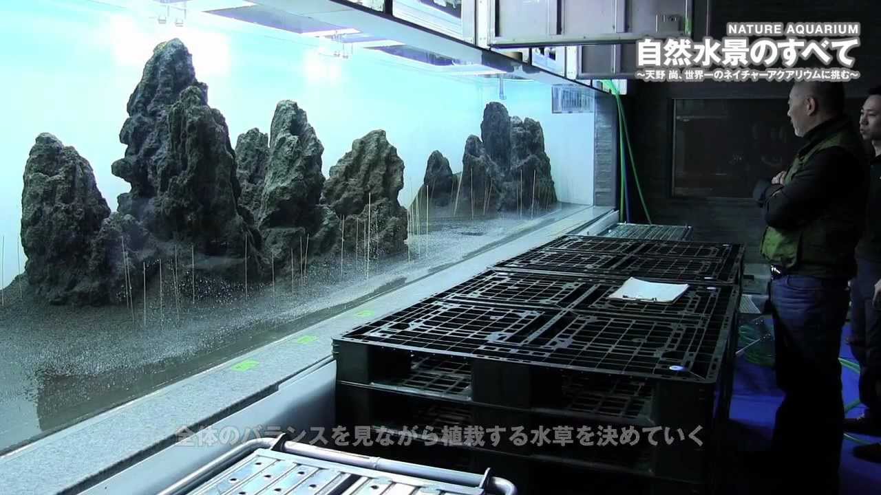 天野 尚×すみだ水族館　自然水景のすべて vol.2