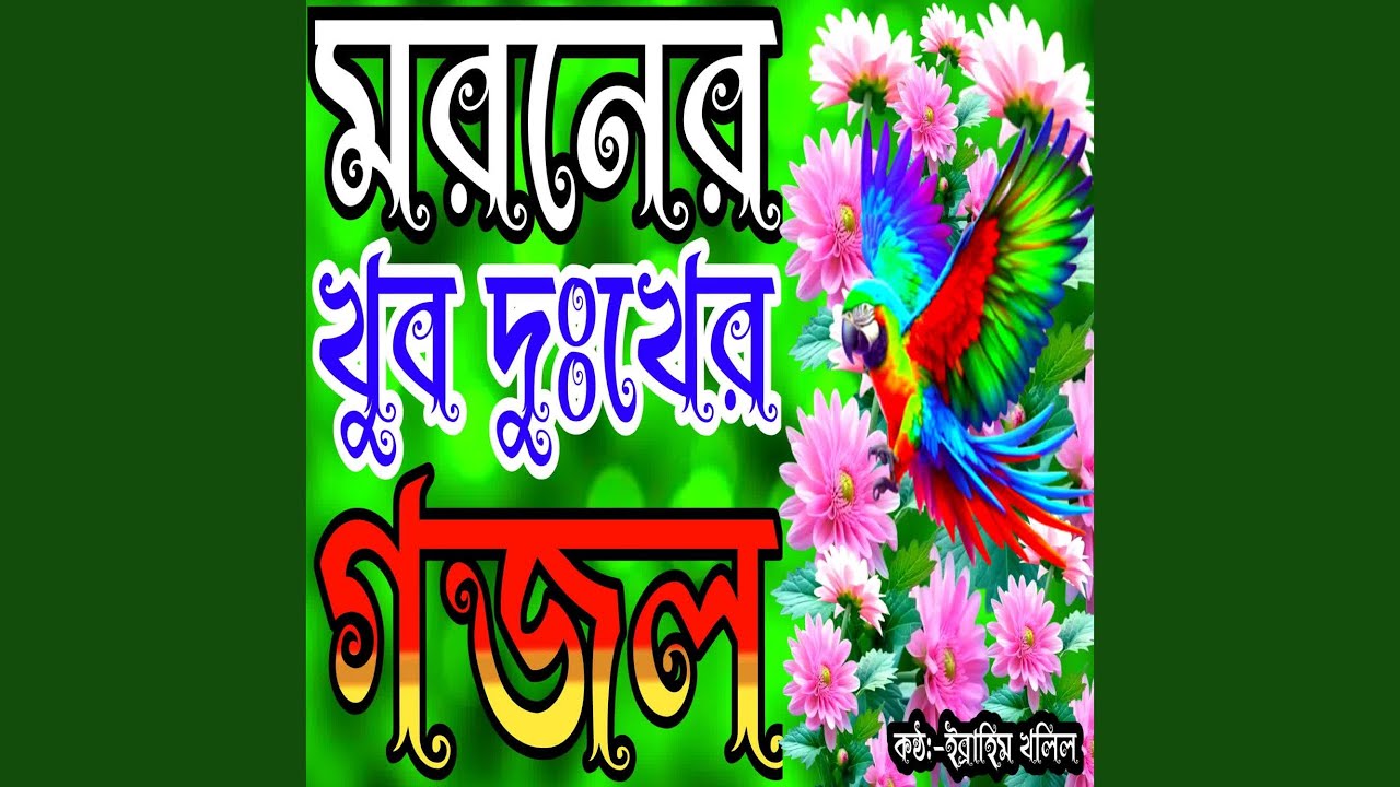 Ami Kundin Jani Moira Zabogo