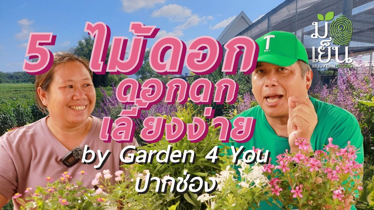 5 ไม้ดอก ดอกดก ดอกตรึม เลี้ยงง่าย by Garden 4 You ปากช่อง