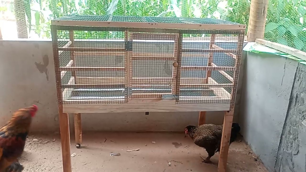 fiz hoje este viveiro pra  aves