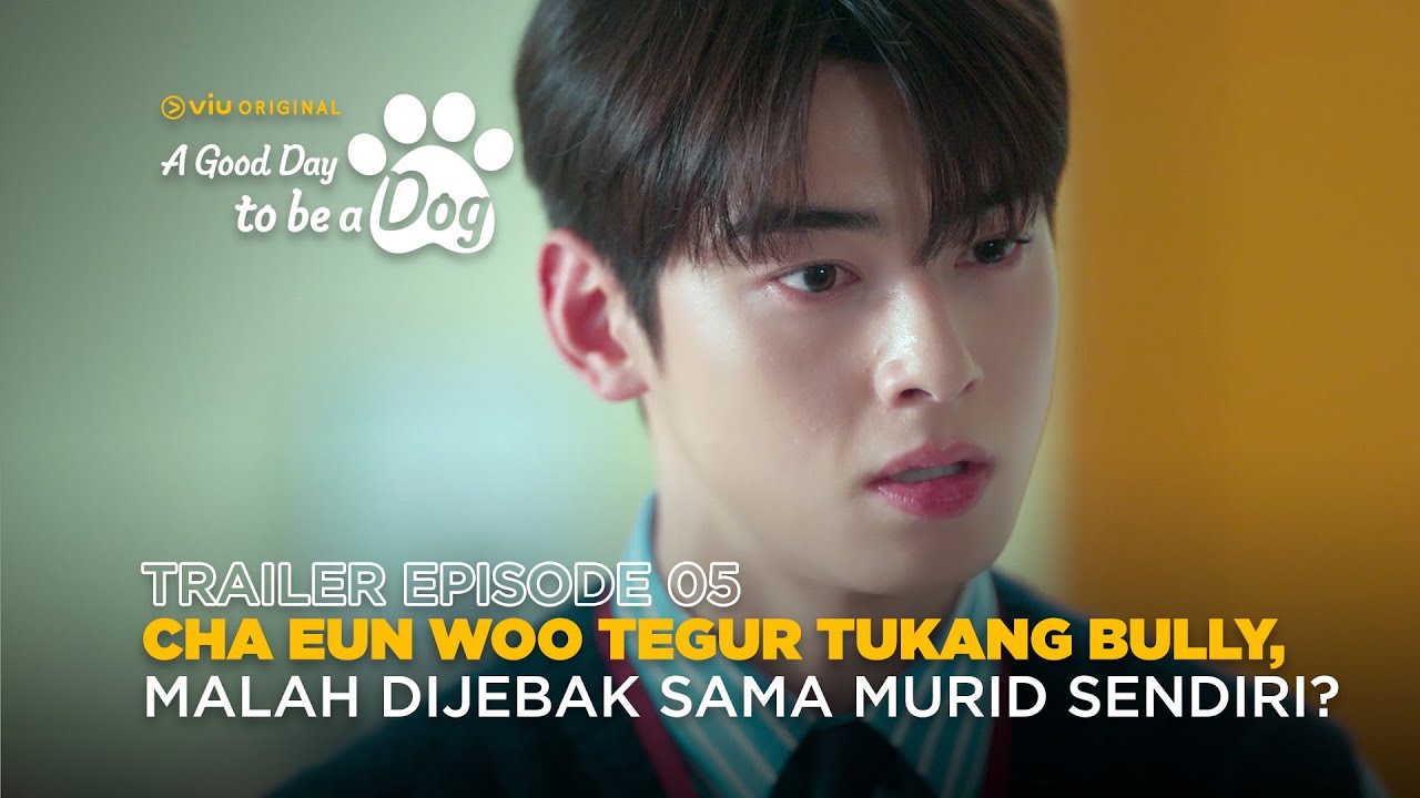 A Good Day To Be A Dog | Trailer Episode 5 | Cha Eun Woo, Park Gyu Young, Lee Hyun Woo