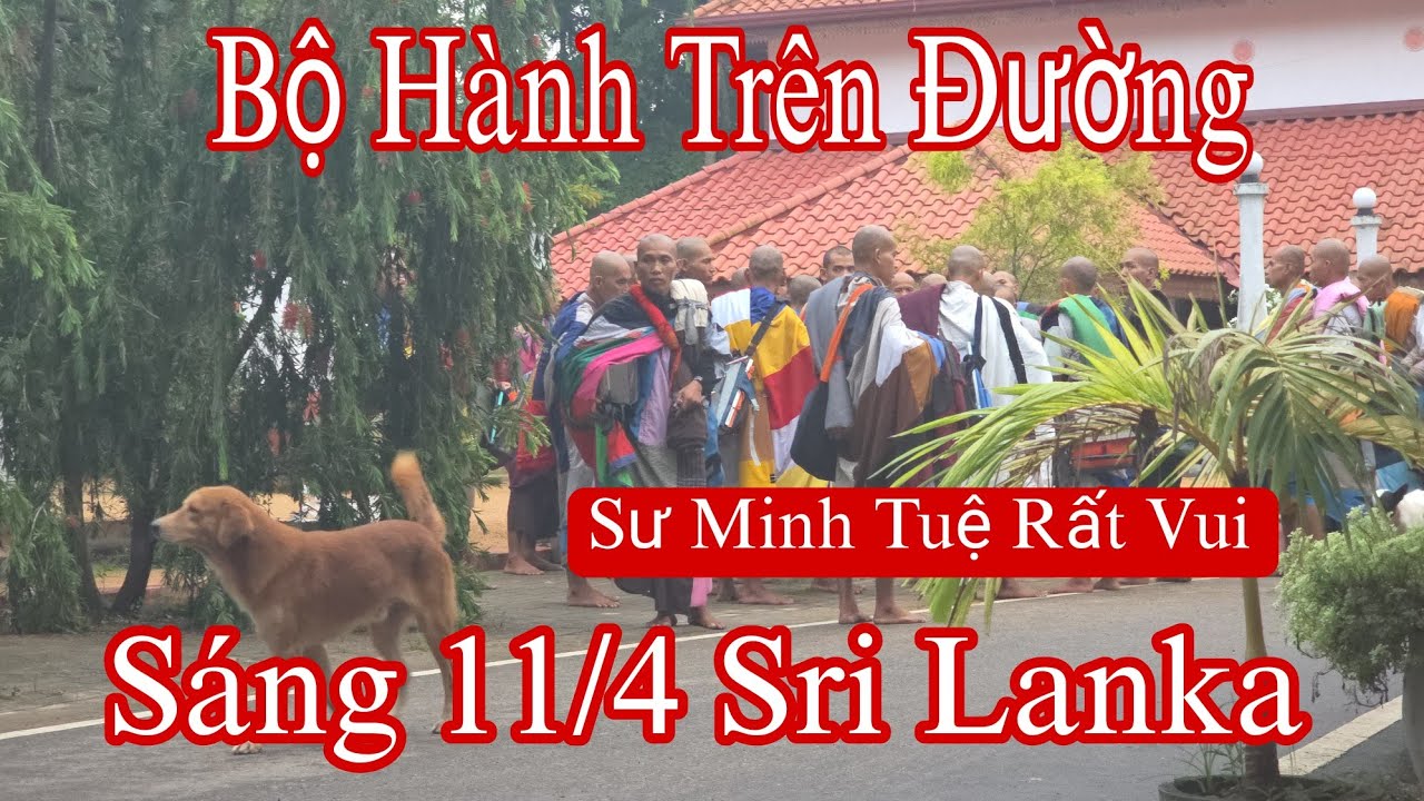 Rất vui: Bộ hành trên đất Sri Lanka sư Minh Tuệ và 34 sư Nhỏ rất tốt đẹp. 9 ngày qua 4 quốc gia