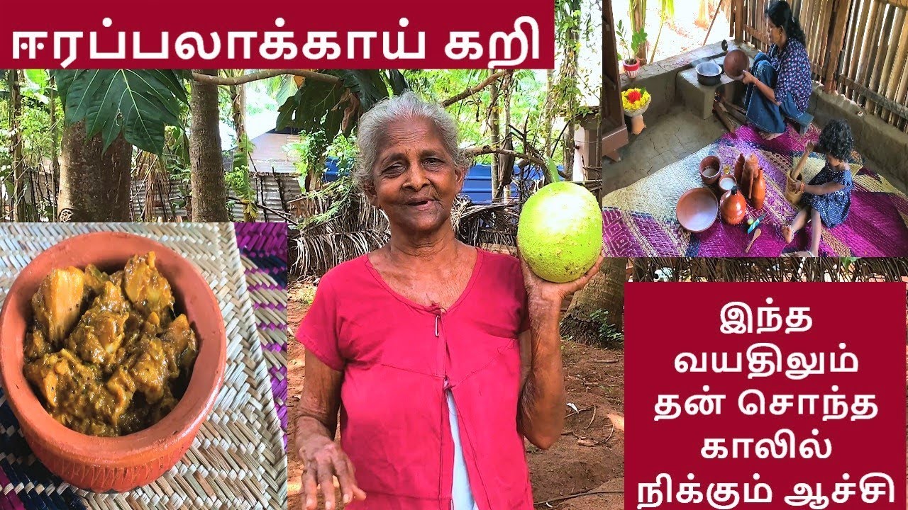 ஈரப்பலாக்காய் கறி | Young Jack Fruit Curry | පොලොස් කරිය | Breadfruit Curry| Eera Pilakai Curry