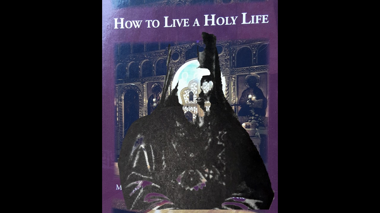 How To Live A Holy Life by Met  Gregory