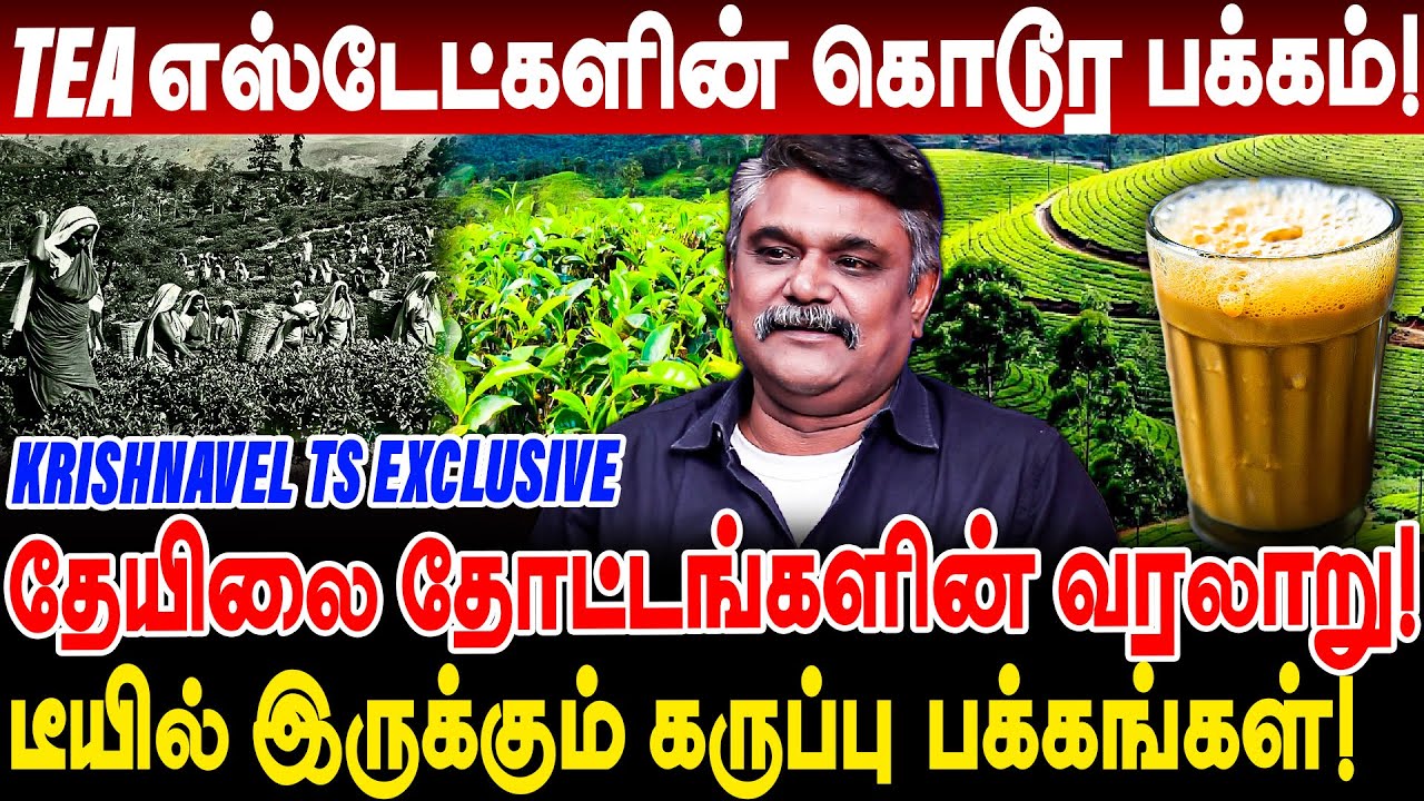 டீ எஸ்டேட்களின் கொடூர பக்கம்! வெள்ளைக்காரனின் விபரீத விளையாட்டு! krishnavel interview tea history