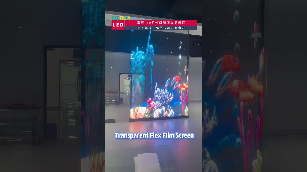 Flexible transparent LED Film Screen
