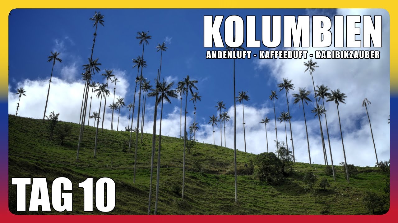 Das grüne Cocora Tal & das bunte Bergdorf Salento | Kolumbien