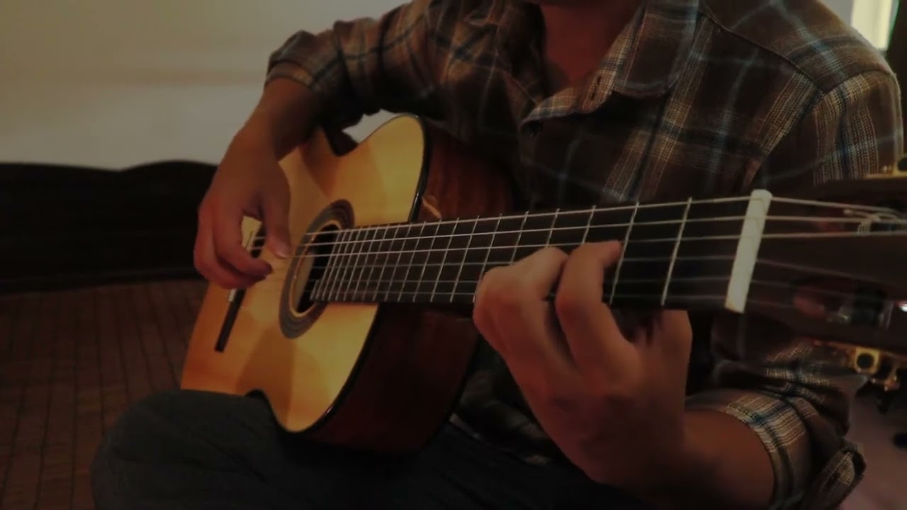 Wake Me Up When September Ends - Cover (Fingerstyle Guitar)