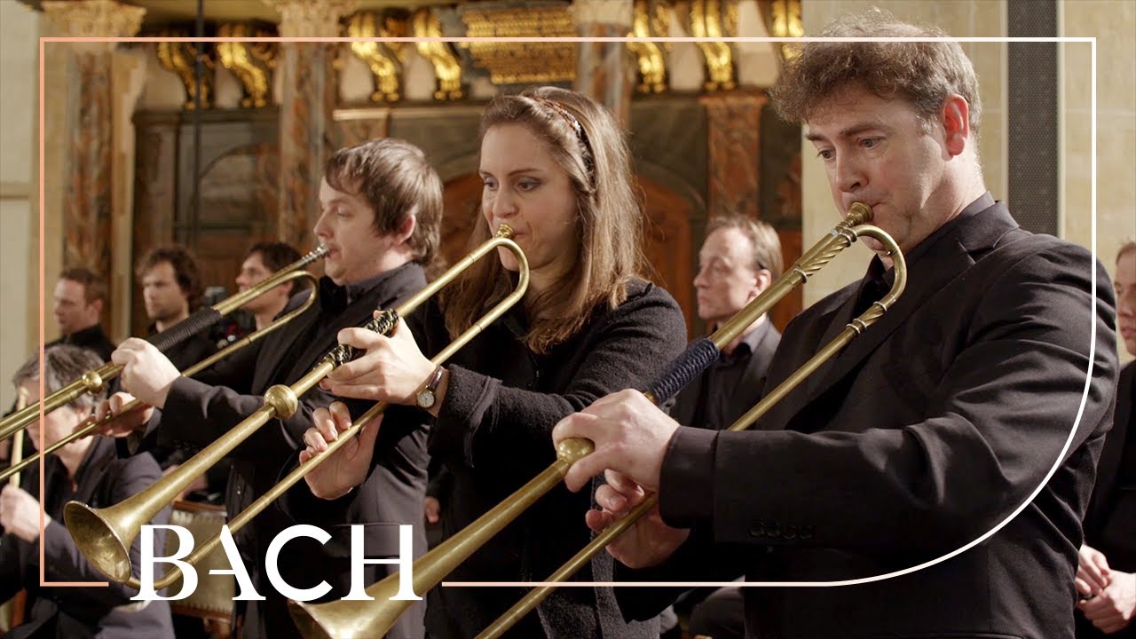 Bach - Sinfonia from Cantata BWV 29 | Netherlands Bach Society