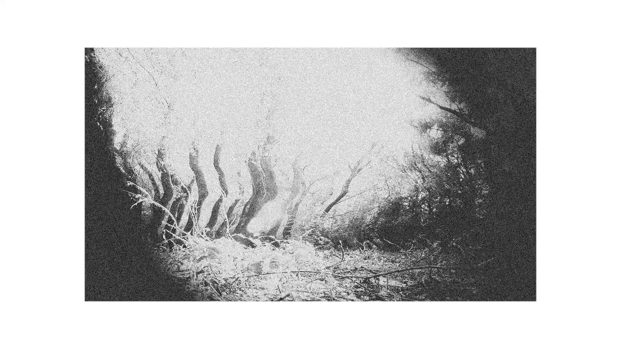 Voices in Vain - 