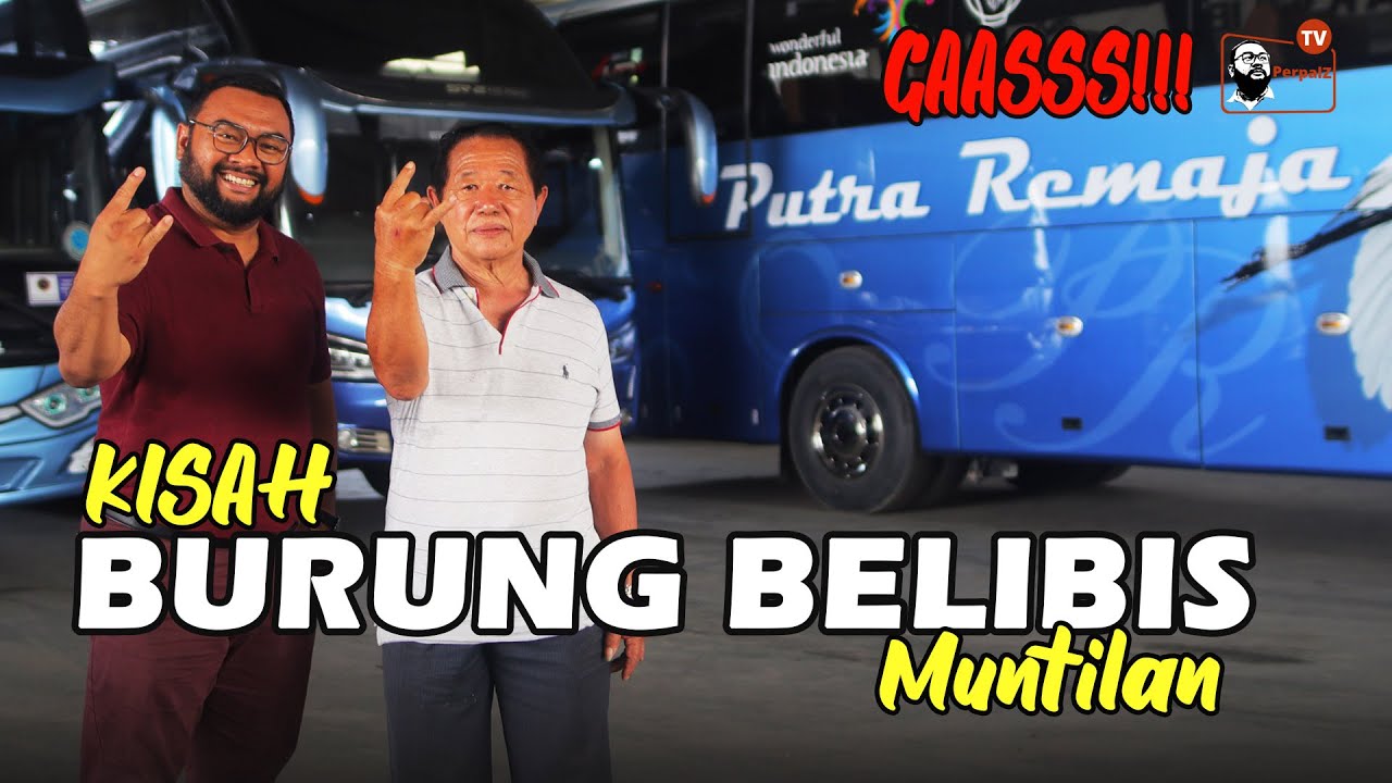 KISAH BURUNG BELIBIS DARI MUNTILAN // PO. PUTRA REMAJA