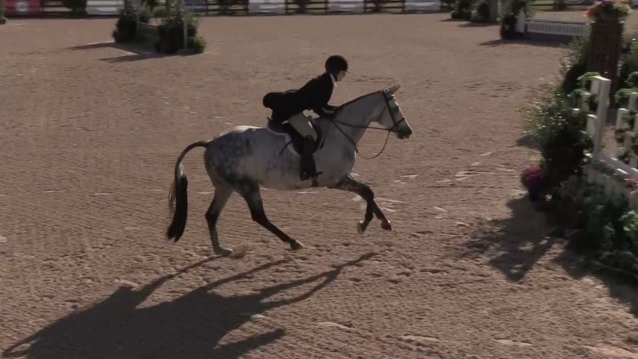 Winning Round: $10,000 WIHS Adult Hunter Championship - Sophia Vella, and Just For Kicks, 2021 WIHS