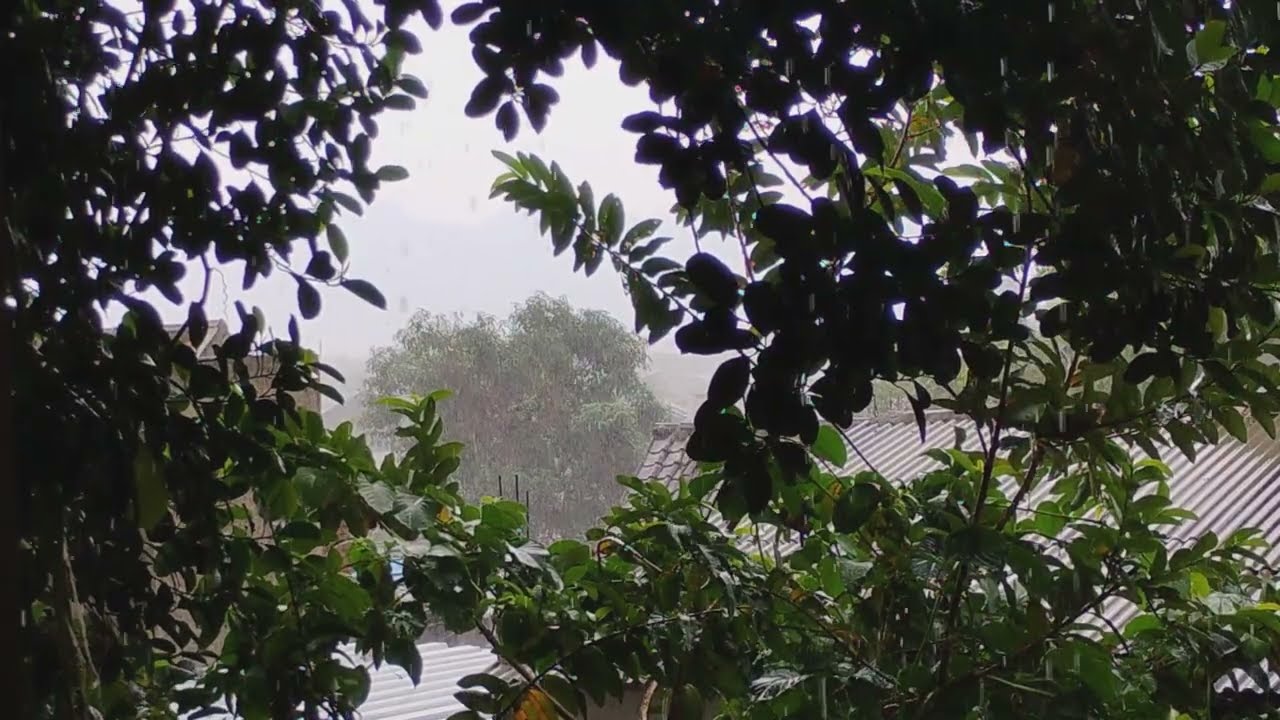 Heavy Rain Sounds for Deep Sleep and Relaxation