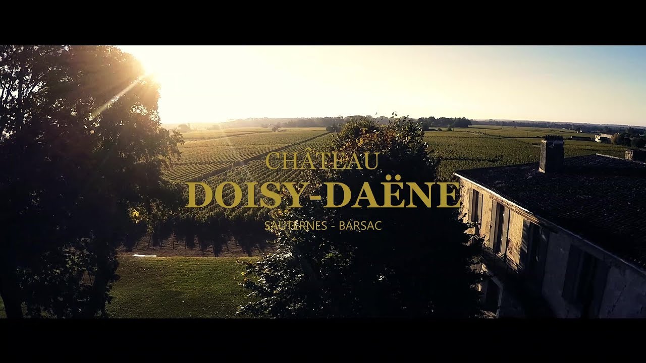 Saison de Vendanges 2018 Château Doisy Daëne