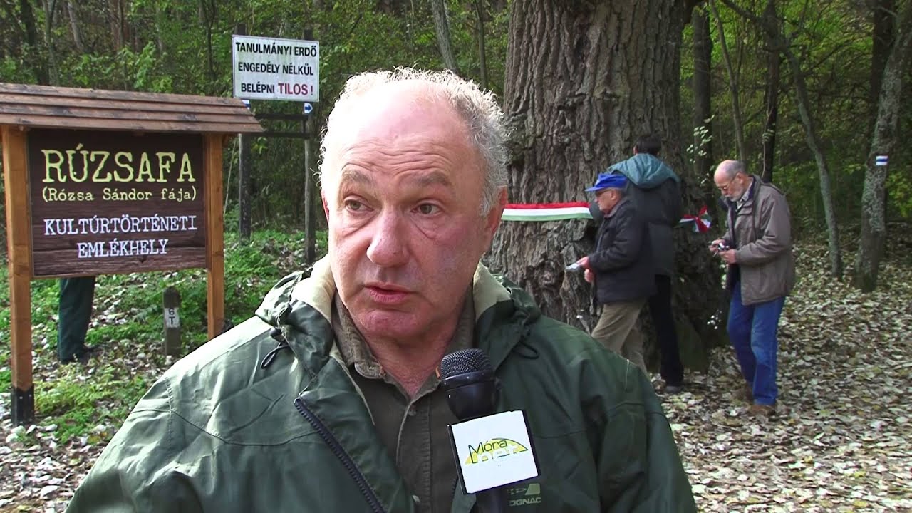 Milyen &aacute;llapotban van az &aacute;sotthalmi 
