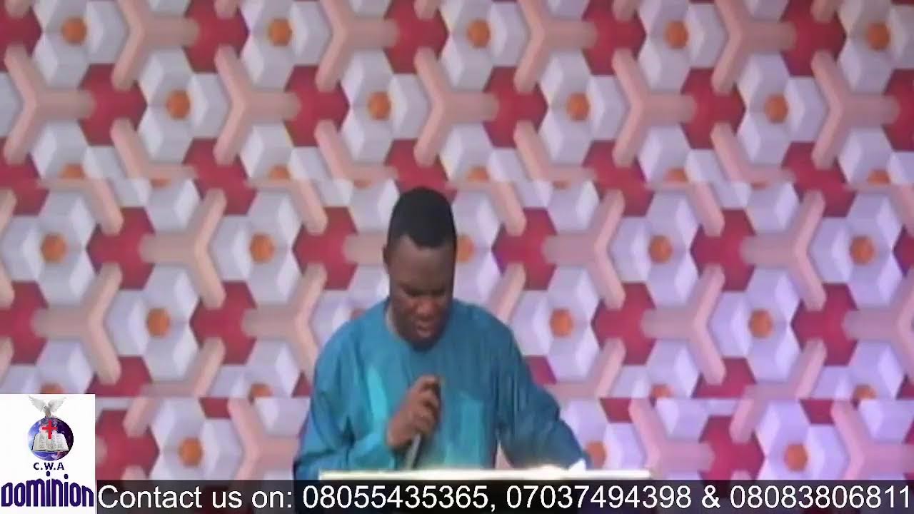 CBN LIVE WITH FRED UZZI