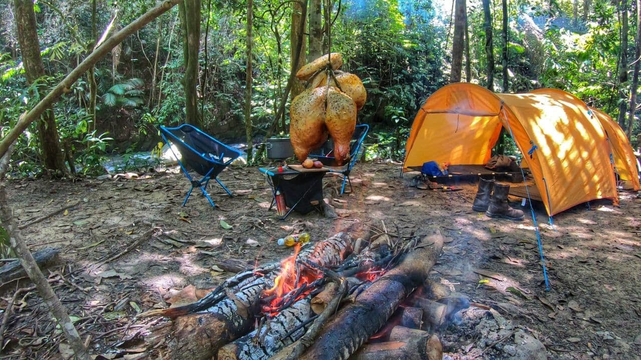 Wild Camping with Campfire | Ayam Panggang | Naturehike Opalus 3 | ASMR | EP2