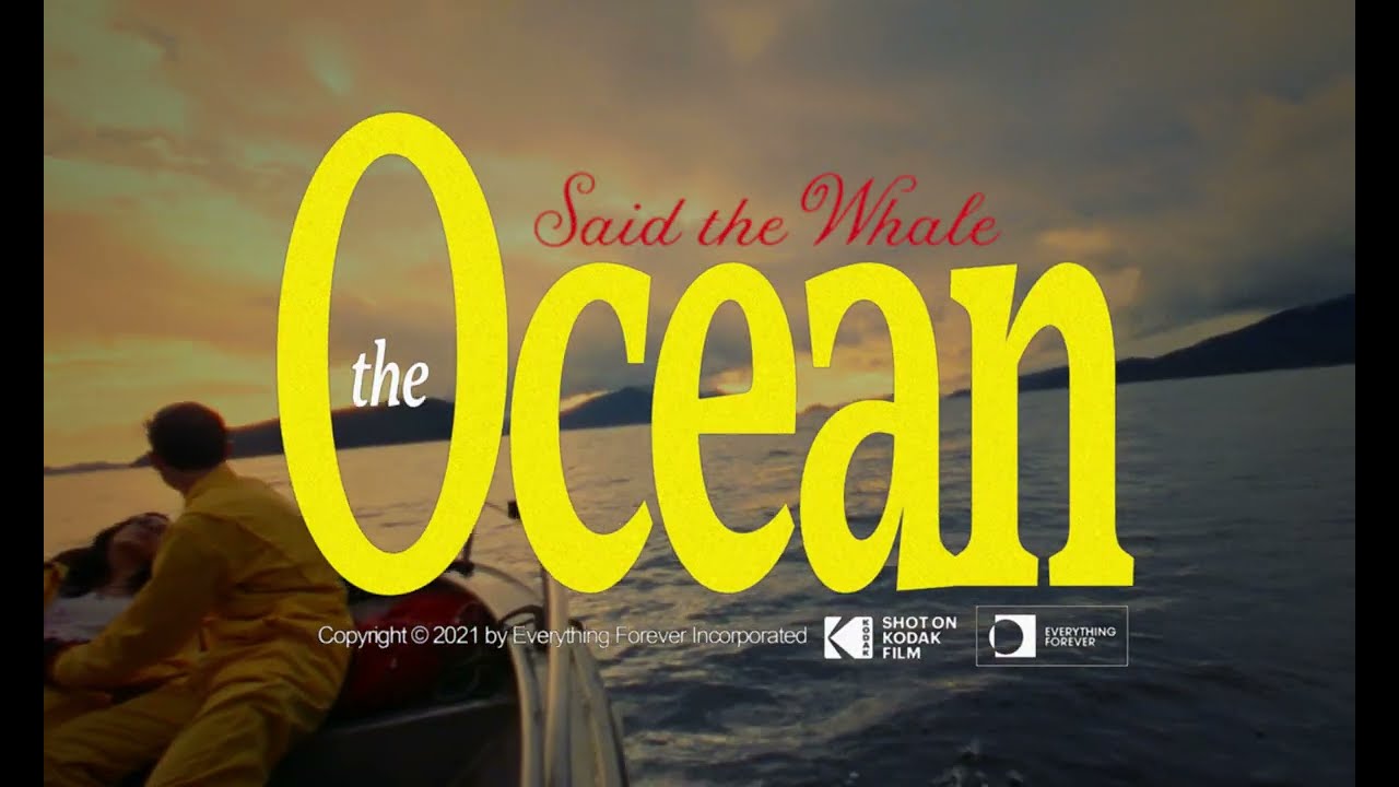 Said The Whale - THE OCEAN (official video)