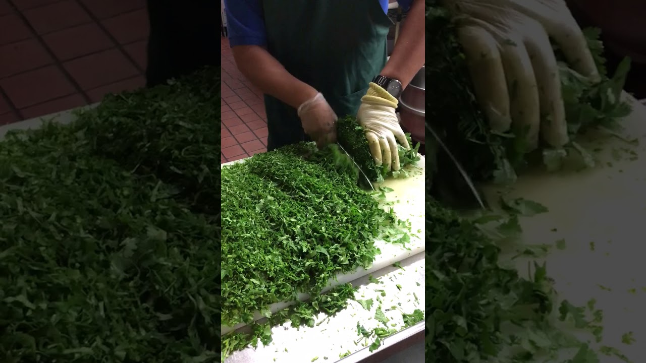 El Camino Real Cilantro Bae (Twitter Viral)