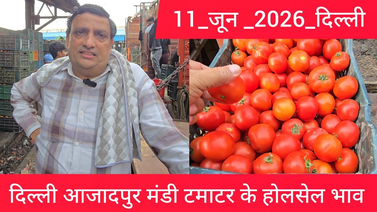 June 11, 2026 दिल्ली 🍅टमाटर के भाव azadpur Delhi mandi today tomato market price #tomatomarket 