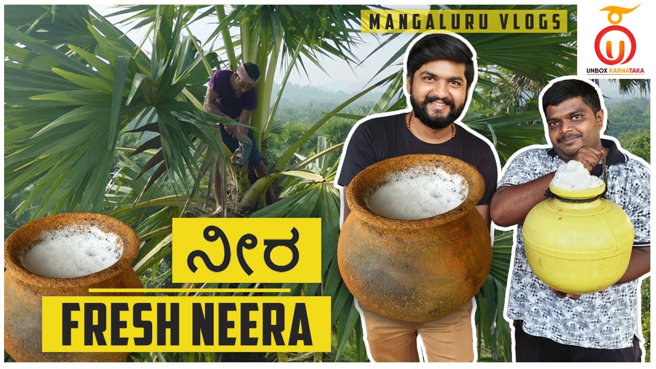 Tasting Fresh Neera in Mangalore | Unbox Karnataka | Kannada Food Review