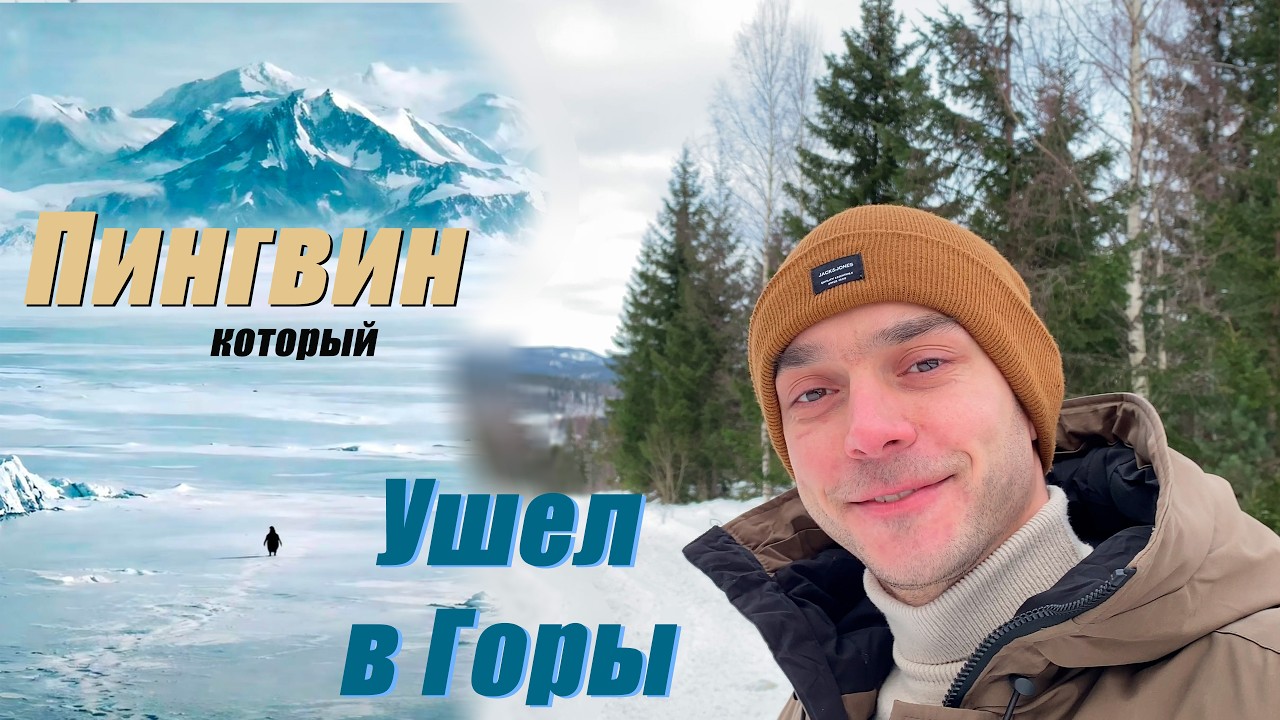 Пингвин Уходит в Горы | Аналогия с Людьми и Моя История | Барбарис