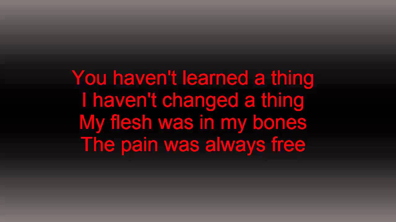 Slipknot - Wait And bleed LYRICS VIDEO
