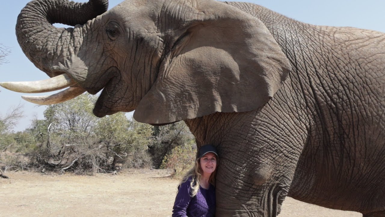 Adventures with Elephants Documentary
