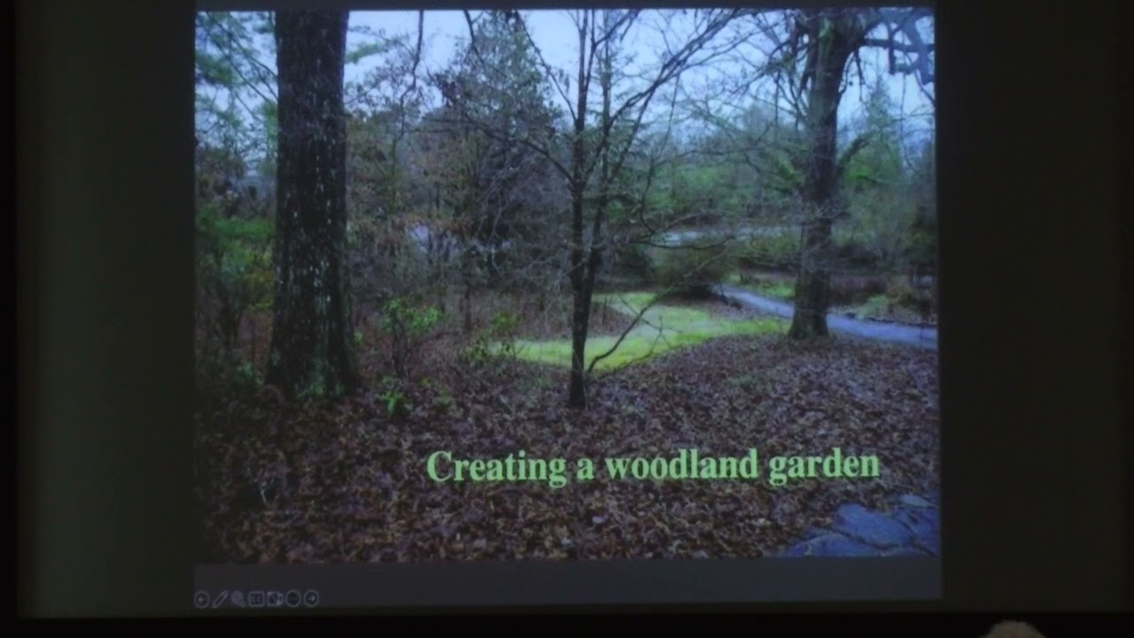 CC/WCP Speaker Series: How to Create a Native Woodland Garden, by Lisa Wagner