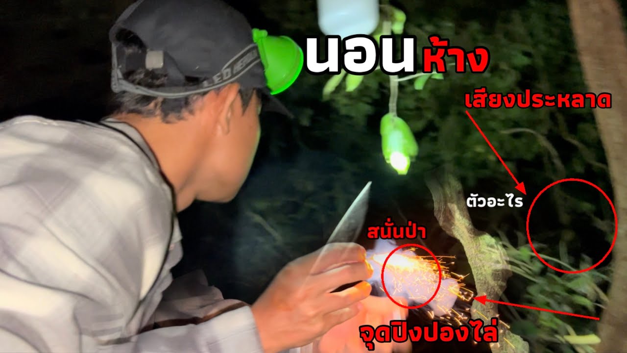 ขัดห้างคนเดียว! กลางป่าลึก! นอนผวา  ผีโป่งค่างแกล้ง มันร้องแปลกๆ ปิงปองช่วยชีวิต!