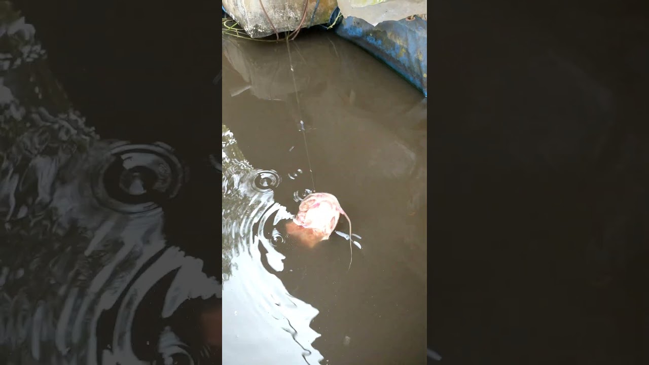 unexpected fishing results this time
