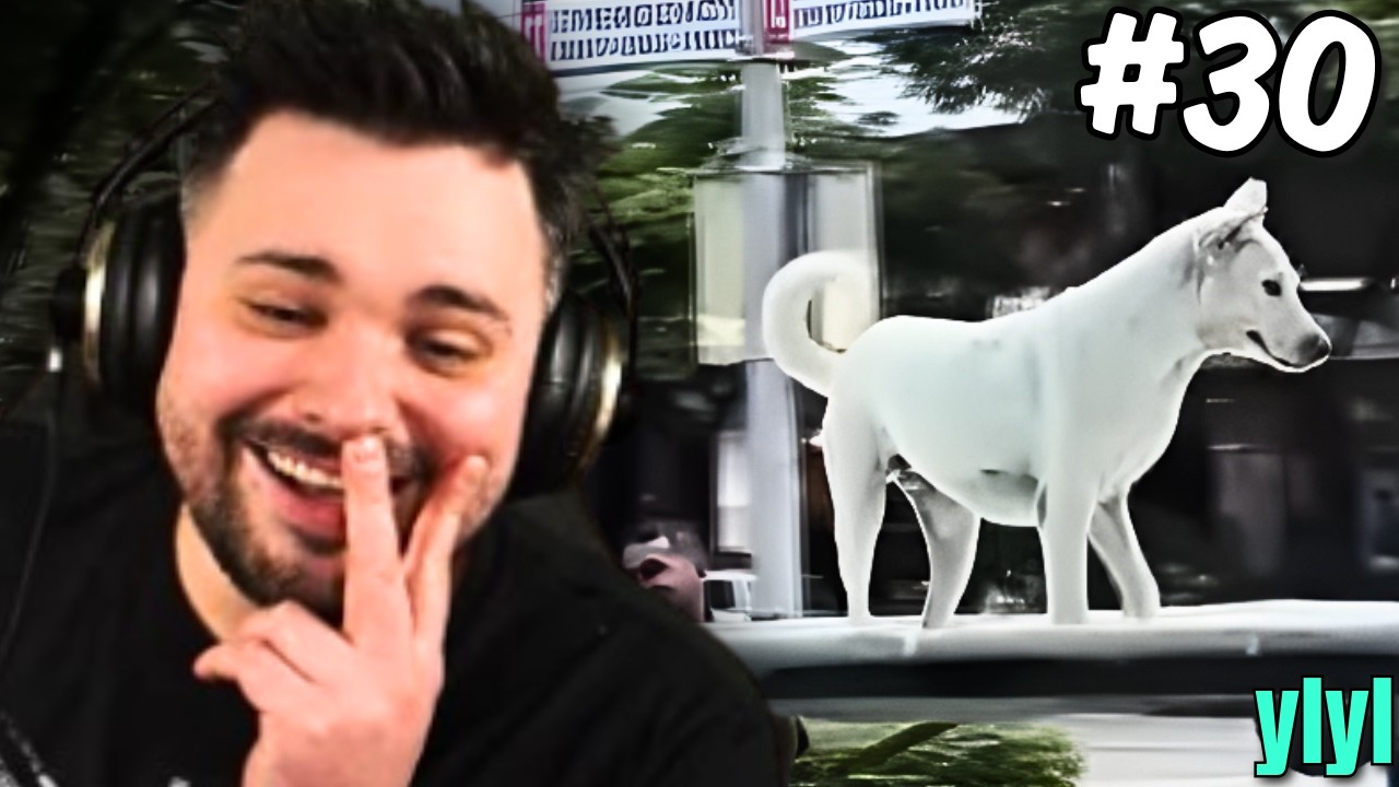 YLYL #30 - Tivolt ogląda śmieszne filmy