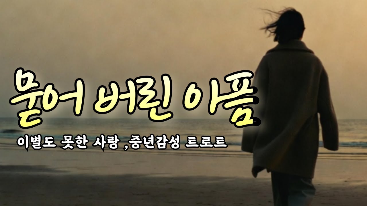묻어버린 아픔, 이별도 못한 사랑ㅣ가슴 후벼파는  사랑ㅣ 중년 감성 트로트 #슬픈노래 #인생노래 #발라드트로트