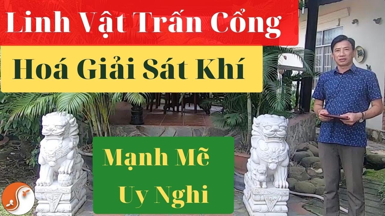 Phong Thuỷ Cổng Nhà, Cổng Biệt Thự, Cổng Công Ty Trấn Bằng Sư Tử Đá Cần Biết Rõ |Thầy Sỹ phong thuỷ