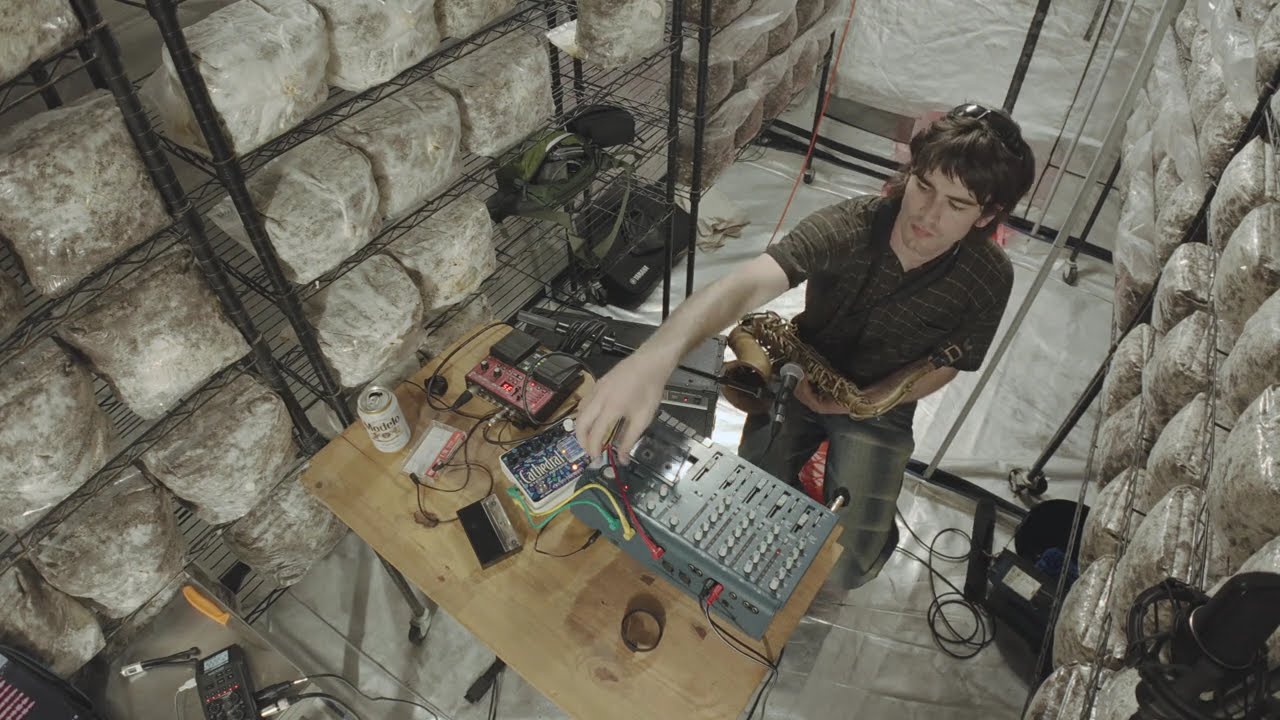 30 something minutes of ambient music performed in a mushroom grow tent
