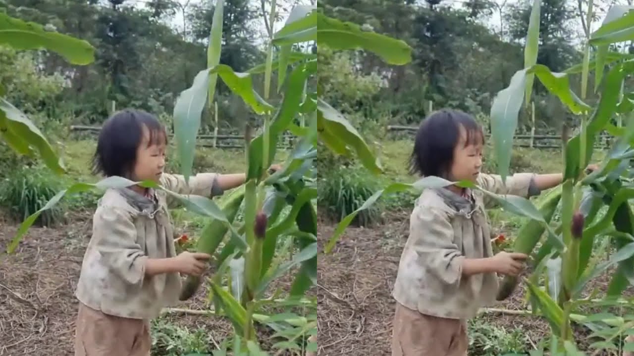 月月和弟弟在農村過的幸福生活，今天又一起賺了錢…這才是真正的幸福