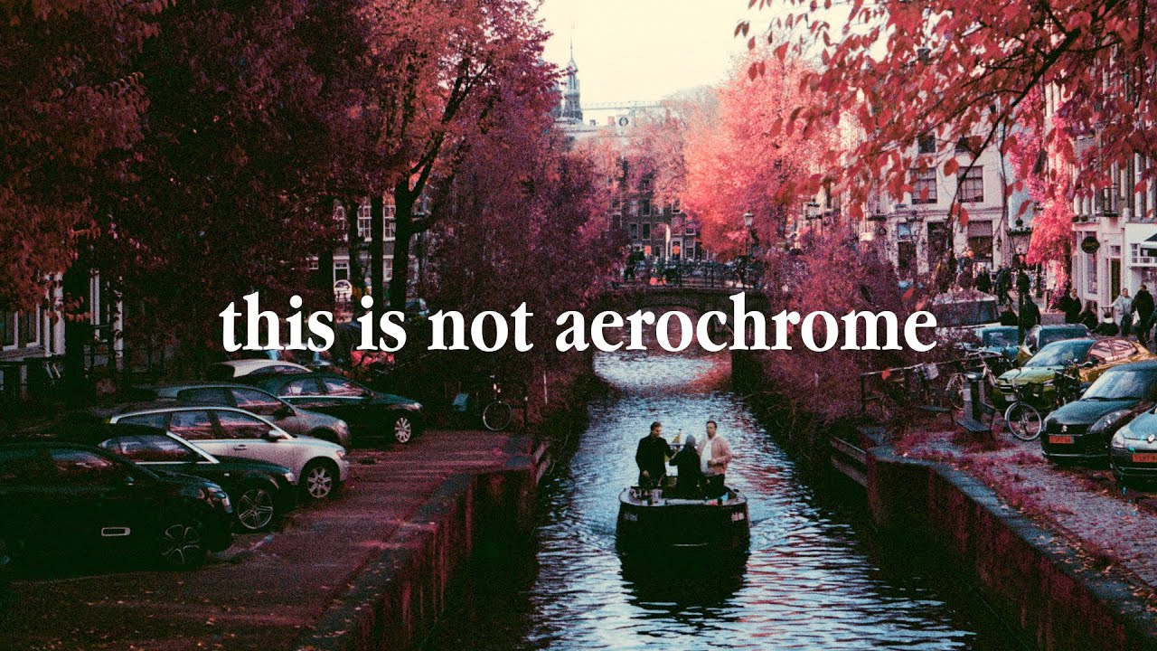 Faking Aerochrome with Lomo Turquoise